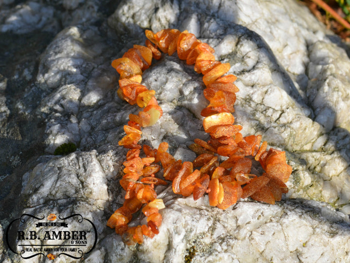 Pet Collars | RETIRED Baltic Amber - R.B. Amber Jewelry