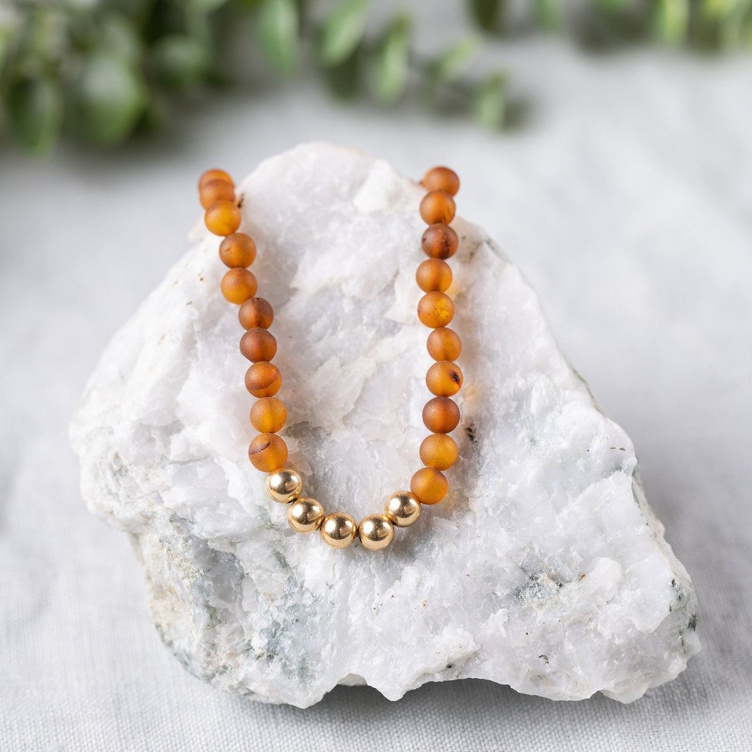Adults | 14k Gold + Raw Cognac Amber Necklace - R.B. Amber Jewelry