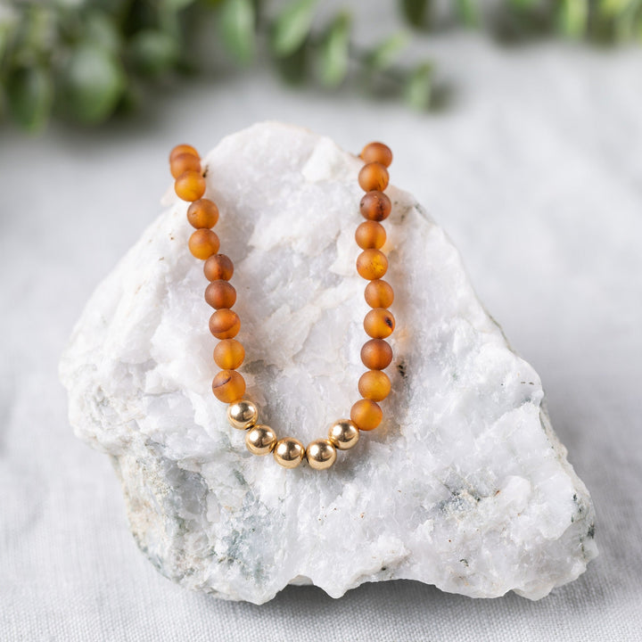 Adults | 14k Gold + Raw Cognac Amber Necklace - R.B. Amber Jewelry