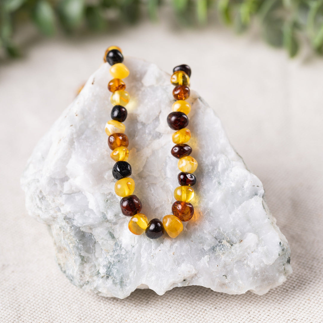 Adults | Multi Baltic Amber Necklace - R.B. Amber Jewelry