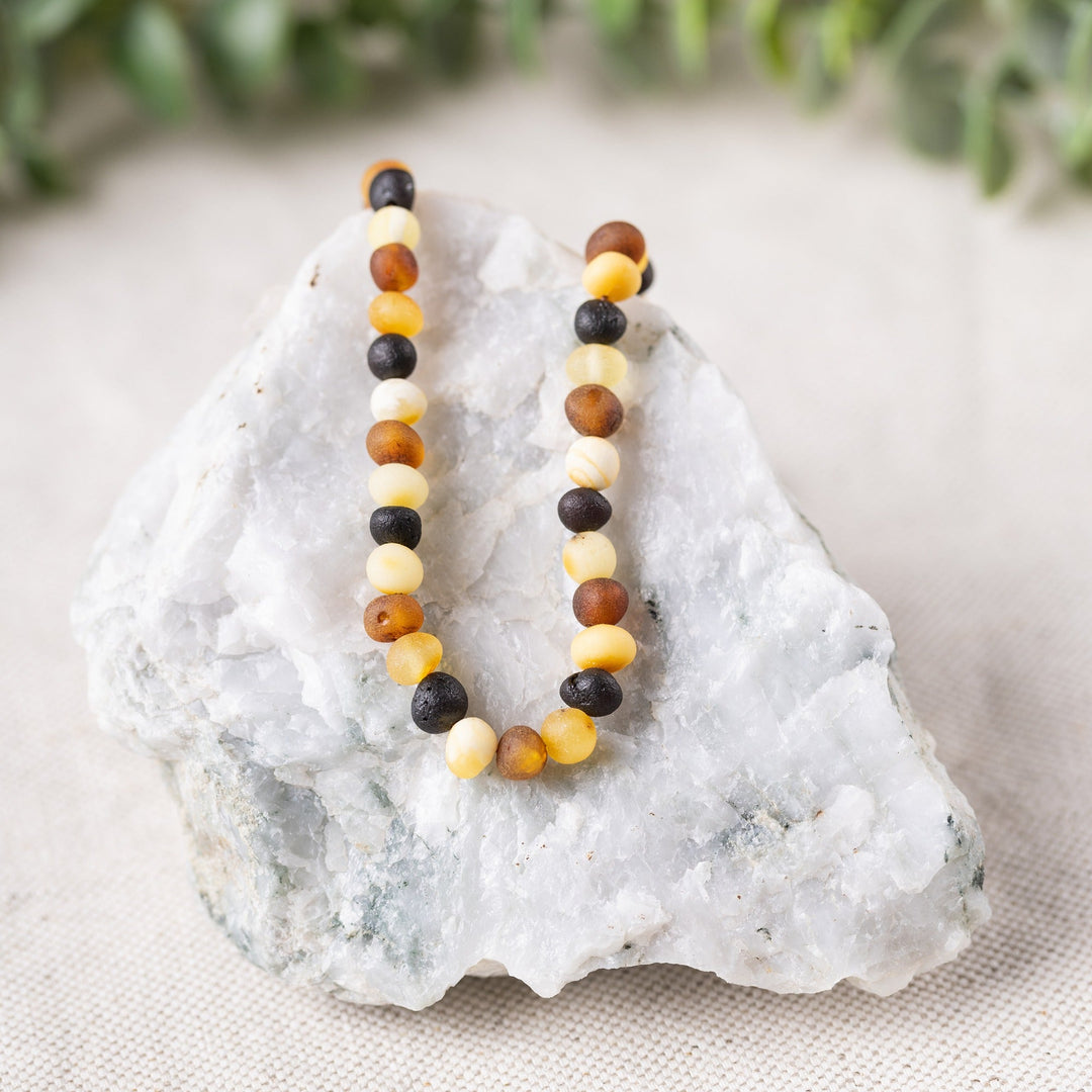 Adults | Raw Multi Baltic Amber Necklace - R.B. Amber Jewelry