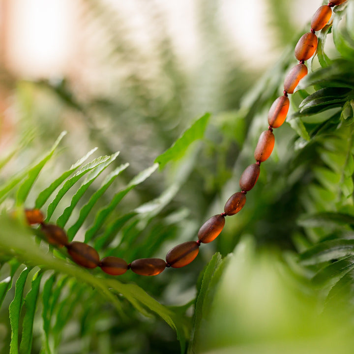 Raw Cognac Bean Baltic Amber Necklace - R.B. Amber Jewelry