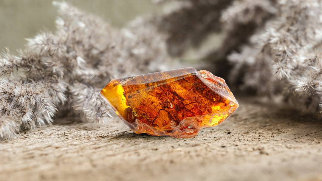 Cognac Baltic Amber Collection