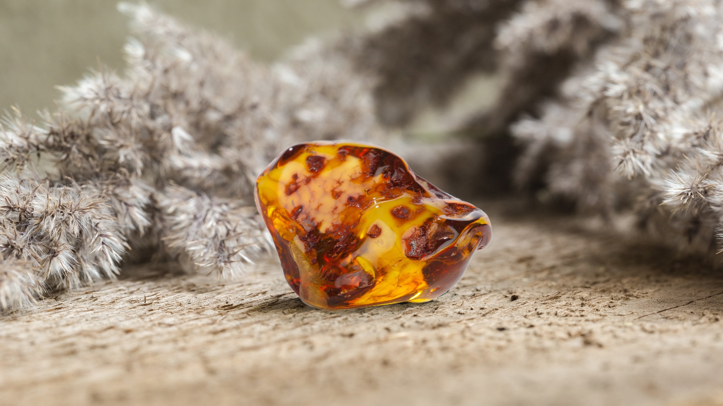 Multicolor Baltic Amber Collection