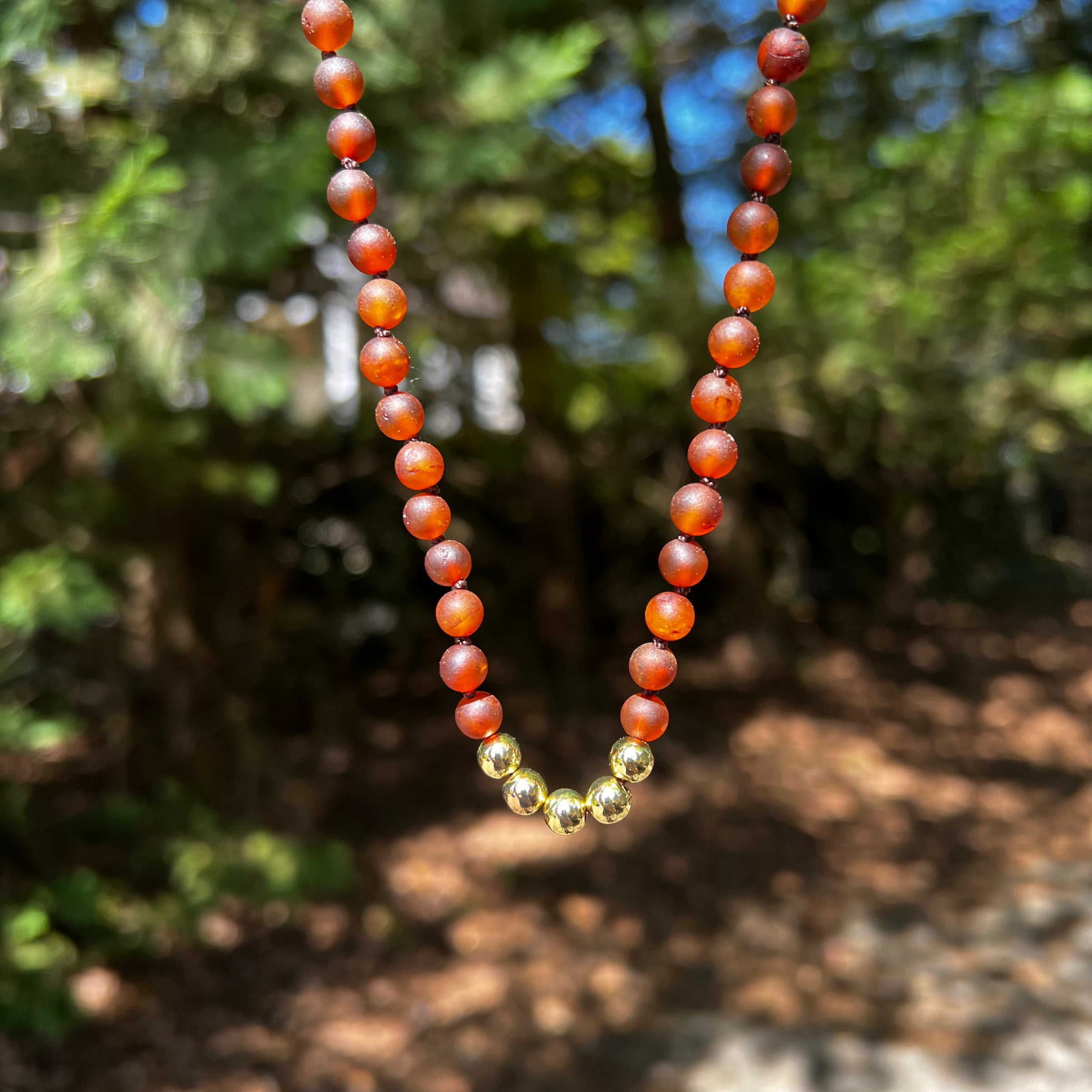 Adult | 14k Gold Baltic Amber Necklace - R.B. Amber Jewelry