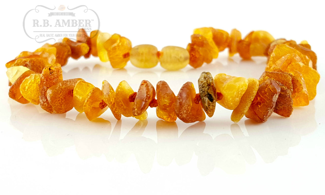 Pet Collars RETIRED Baltic Amber