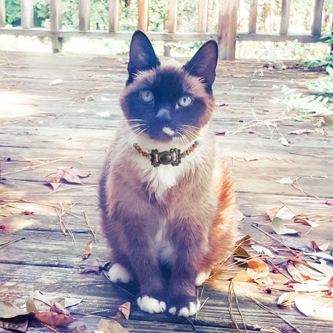 Baltic Amber + Gemstone Dog Cat Collars - R.B. Amber Jewelry