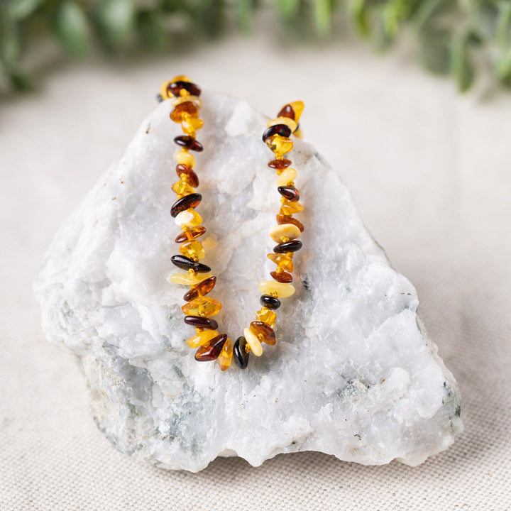 Kids | Multi Chip Baltic Amber Necklace - R.B. Amber Jewelry