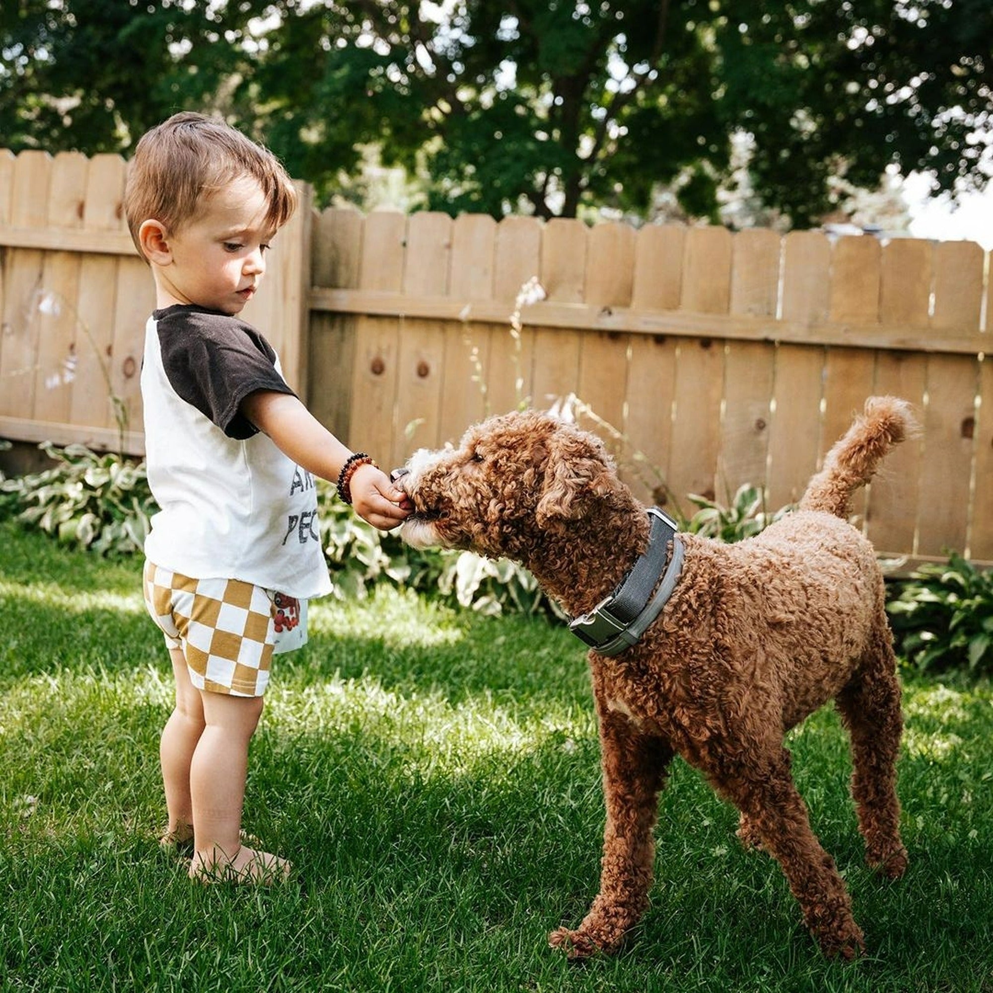 Kids | Raw Baltic Amber Bracelets - R.B. Amber Jewelry