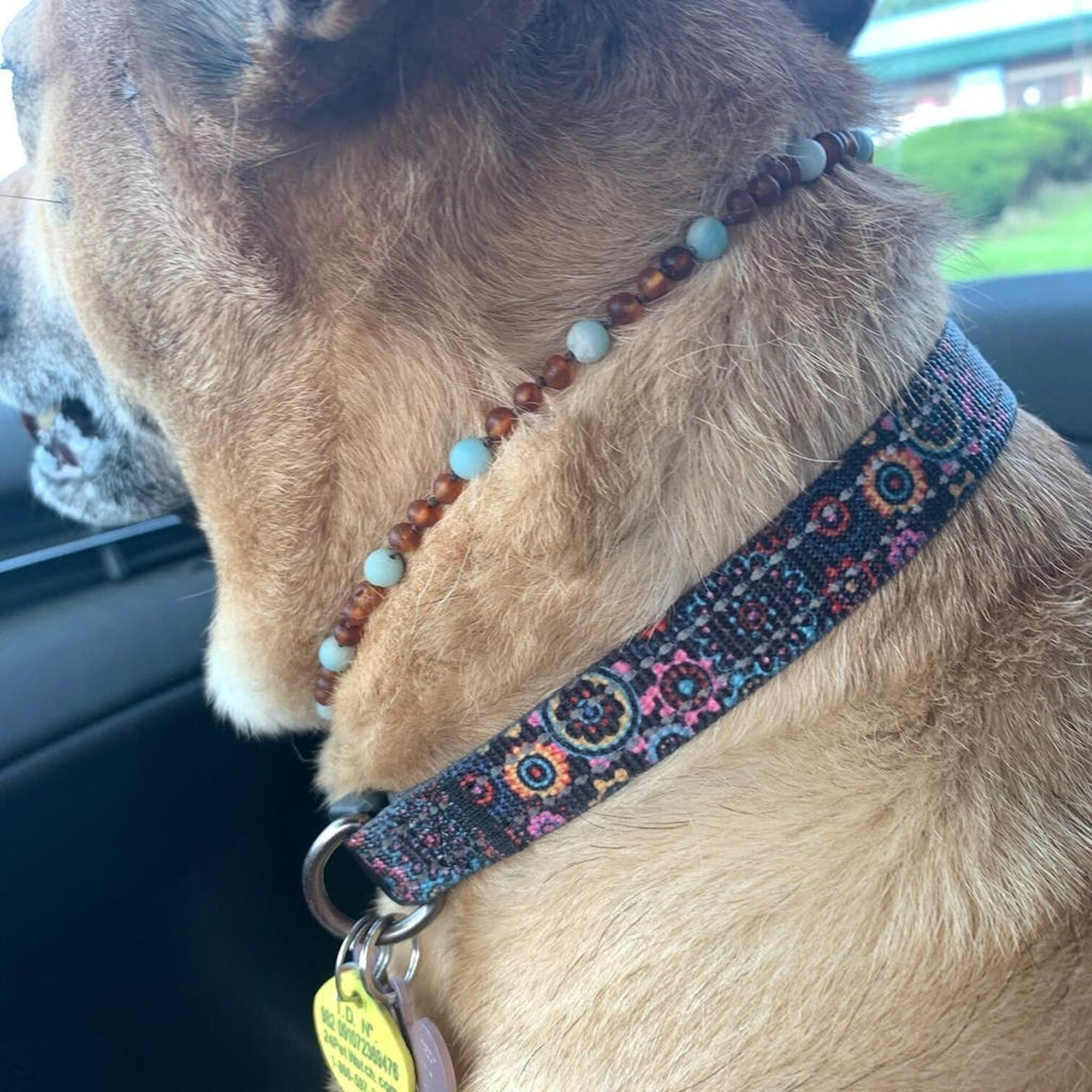 Amethyst store dog collar